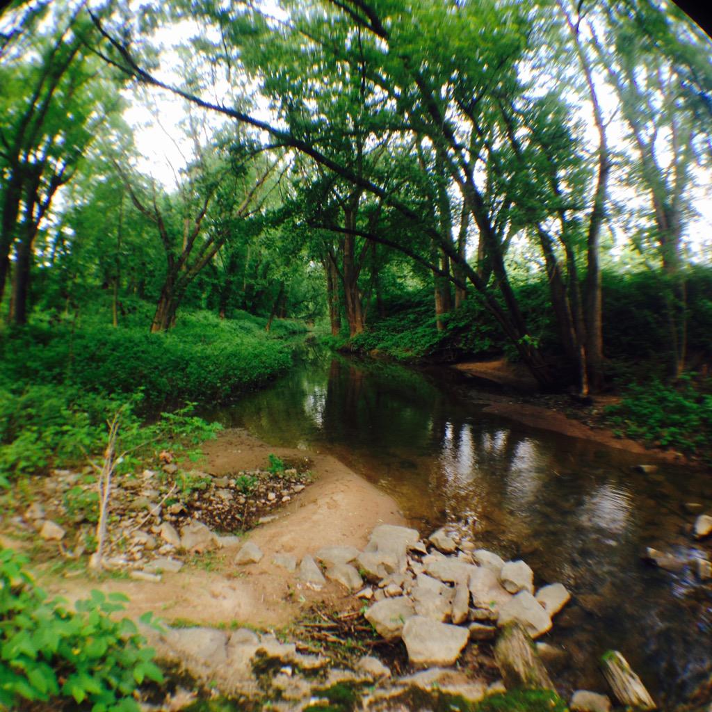 Christinedevlrs's tweet image. blessed to have been able to go to the places I've gone 🙏💕