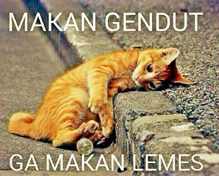 memekomedi's tweet photo. Makan ga makan #meme #comic #komedi http://t.co/L8tk5TvZk5