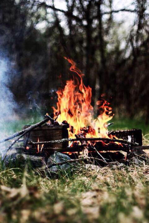ChiIIVlbes's tweet photo. I'm down for a camping trip ⛺️🔥 http://t.co/WS6j33dRPV