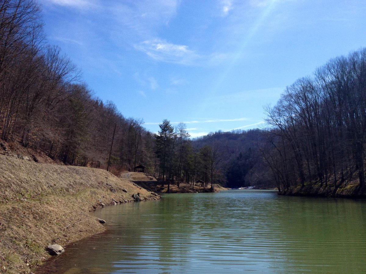 TheSeedsProject's tweet image. SEEDS WVA had beautiful weather &amp;amp; a gorgeous view at Berwind Lake yesterday afternoon for lunch with Marsha!