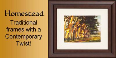 fastframe2's tweet image. Homestead - Traditional frames with a Contemporary Twist! #fastframe #contemporaryframes