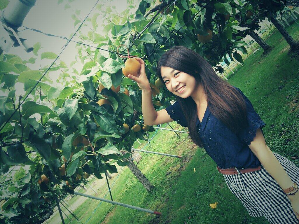 imnm01071224's tweet image. 震災から1年。何もできない18歳だったけど何かできるよねって友達と話して行った福島の梨狩り。おっきくてみずみずしくてお腹いっぱい食べたなー。あの時出会った梨園の方やタクシーの運転手さん、旅館の方元気にしてるかな？
#bluetable