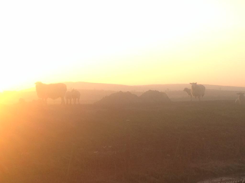Looking like it's gonna be another tremendous #spring day in sunny south #Cumbria.#lambing2015 can't come soon enough