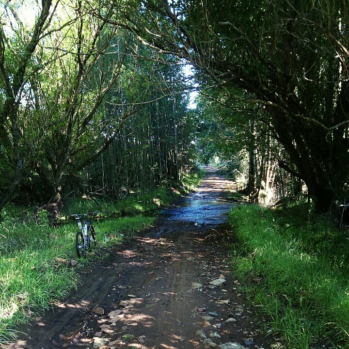 Steve_Bryant's tweet image. I love this pic! #ResultsStartHere