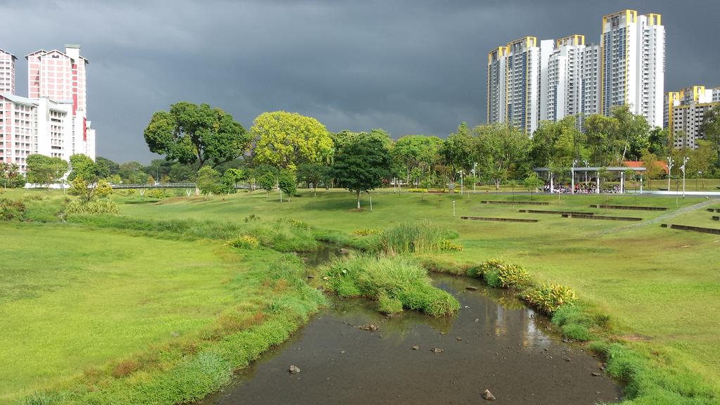 Now a meandering natural riverine replaced the concrete channel #BishanPark