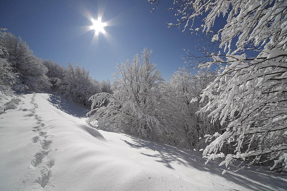 Snowbreak tweet media