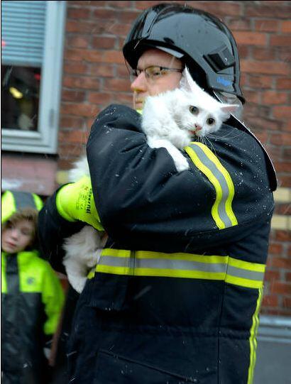 WarmingCuteness's tweet photo. The eyes say it all ^ http://t.co/sFOiUALD2h
