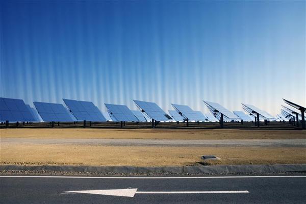Greenpeace tweet picture
