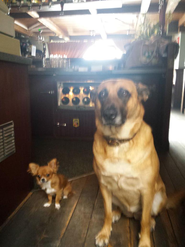 Samen wachten op plakje worst