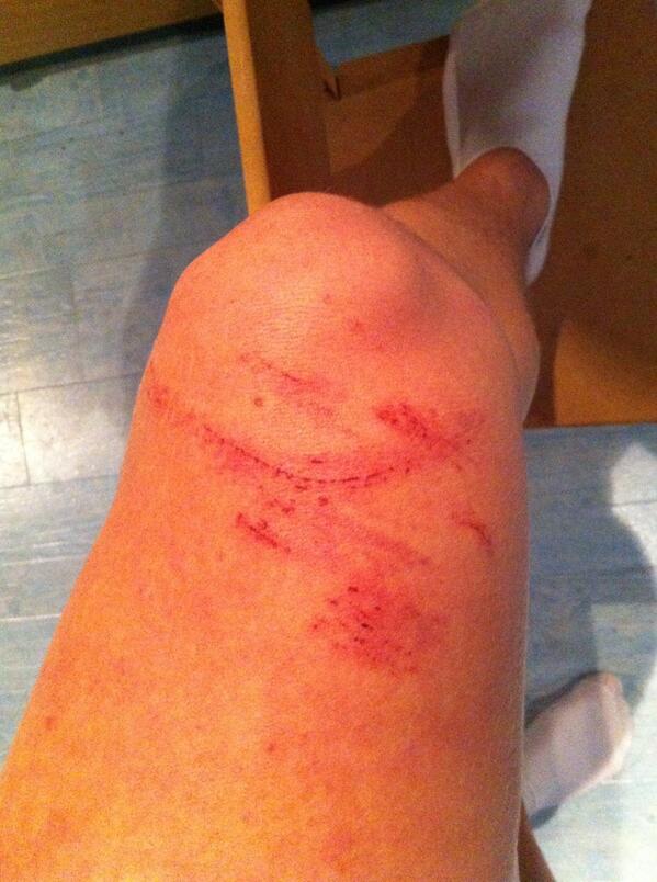 roxgroot's tweet image. Auw