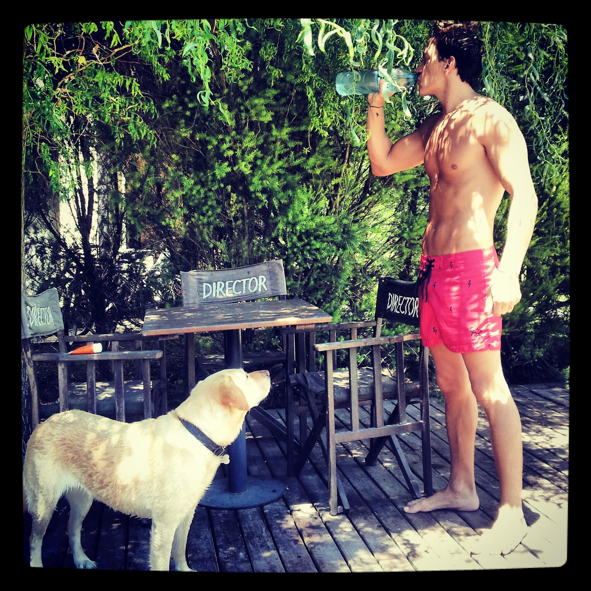 Link permanente da imagem incorporada