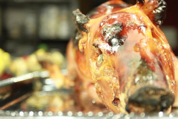 UndertheTable_'s tweet image. Mr. Pig