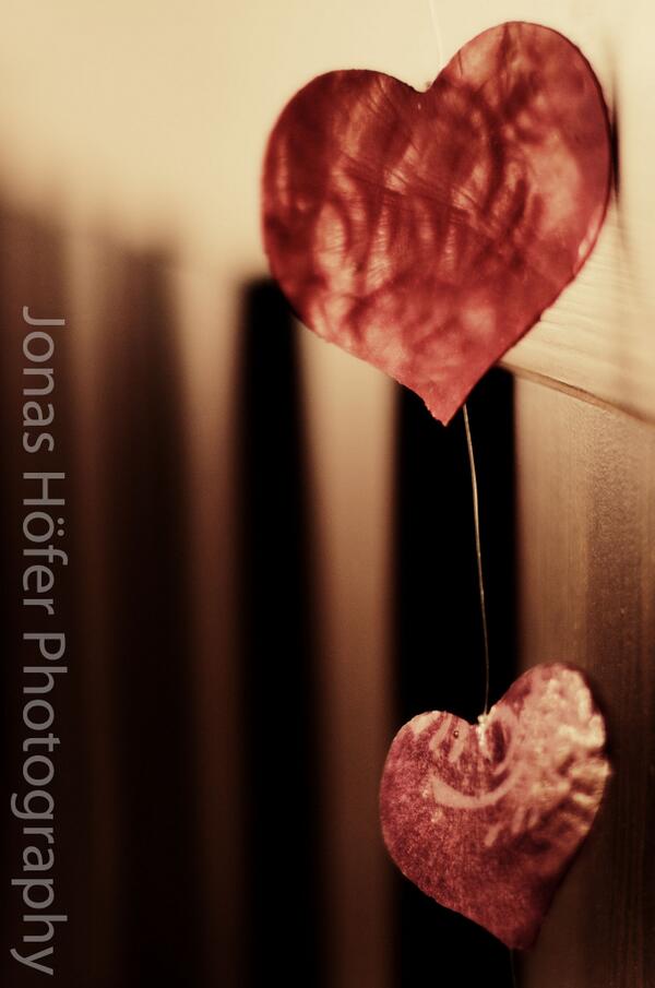 Jetzt auch auf Twitter - Hier gibt's regelmäßig neue Updates :) #photography #hearts #Art #Love #picoftheday