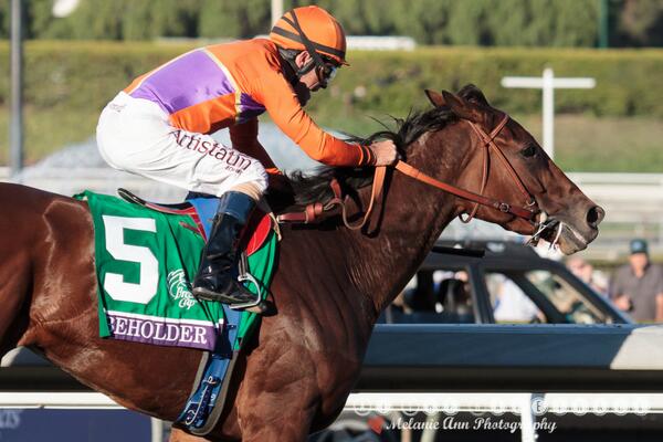 SkimTheRail's tweet image. Behold...Beauty  @Beholder_Filly @HRTVGary @BreedersCup #BCDistaff #onetoughfilly