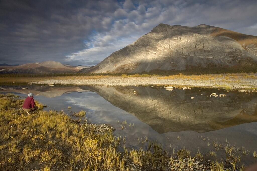 Happy 53rd birthday to the Arctic National Wildlife Refuge! @USFWSHQ @USFWSRefuges #Alaska pic.twitter.com/2popb7EAvz