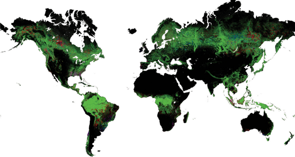 ScienceNews's tweet photo. Researchers have created a new tool to track forest cover with satellite images &amp; Google Maps http://t.co/VuSBqVkJCG http://t.co/IBos2Xyey6