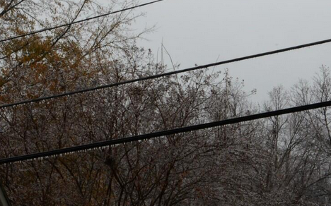 PropaneMemphis's tweet photo. If You Look Closely, #memice is Starting to Form on Power Lines #InMemphis - Stay Safe Friends! http://t.co/OW1bs8lNzh
