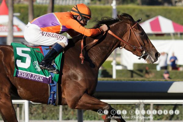 SkimTheRail's tweet image. #onetoughfilly @Beholder_Filly @HRTVGary @BreedersCup #BCDistaff