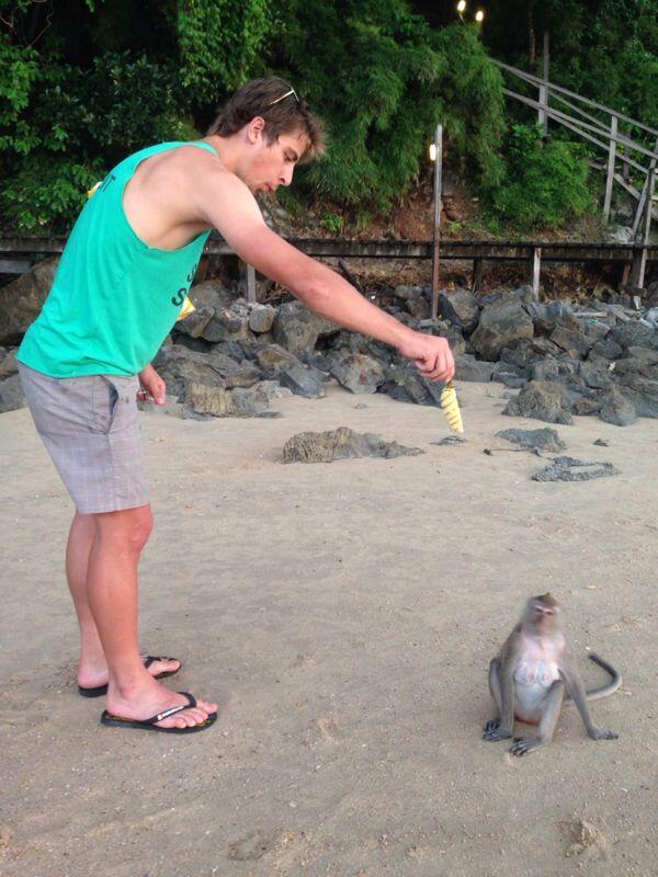 Peter Sagan tweet media