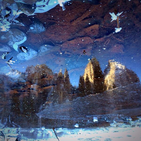 RoLFilmFest's tweet photo. Icy Reflection of Cathedral Rocks #winteriscoming #yosemite http://t.co/tJapiyuUUo