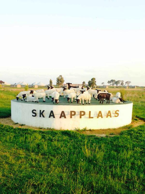 modderdrift's tweet photo. Dis hoe n mens skaap boer @landbou @Beeld_Nuus @landbou  @loesilbotha  #LHC http://t.co/wYoDZWW9YT