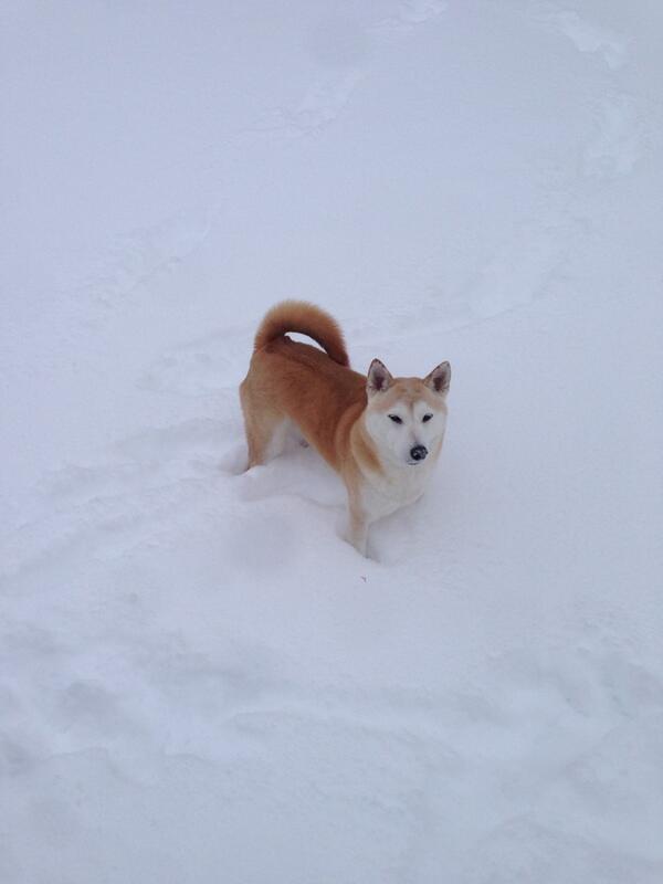 Snow days are always fun