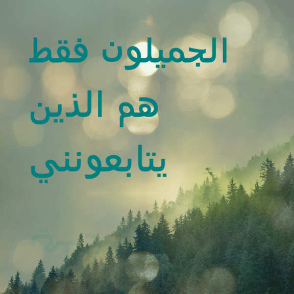 FFtma2 tweet picture