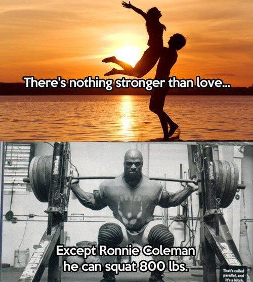gregthaxton31's tweet photo. "@Fitness4Guys: Lol http://t.co/lOrwOCHgph" eat big lift big @Lkscates69