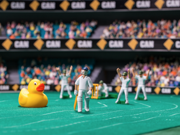 CommBank's tweet photo. Did somebody order the duck? #Ashes #uniteAus http://t.co/ZtIqxHxRZL