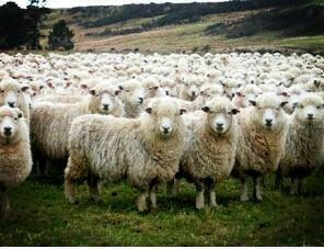 “@LetsQuoteComedy: When you walk into class late ” <a href="/ohzapata/">Oscar Zapata</a>