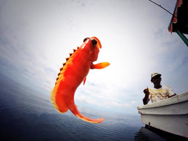 mantapz @Aceh_Adventure: #FishingAdventure | #LhokSeudu,  #PulauRusa @iloveaceh @iloveacehrayeuk  @AcehTravel