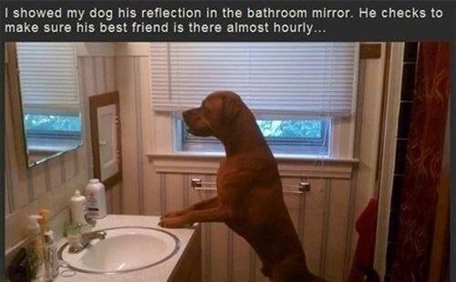 YourLaughWorld's tweet photo. http://t.co/WORtJqOLO7