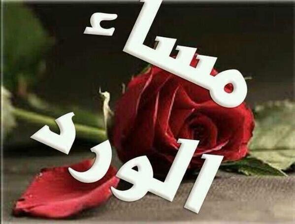 qdbp8's tweet photo. السلام عليكم 
          مسائكم ورد http://t.co/qODN2CG21q