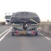Dumpert - Ondertussen. Tijdens de Sinterklaasstorm des doods
dumpert.nl/mediabase/6575…