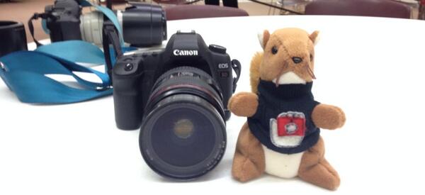 jpooh8318's tweet image. Squirrel is ready and excited for the day!
#HelpPortraitMSP 
#WidowMight