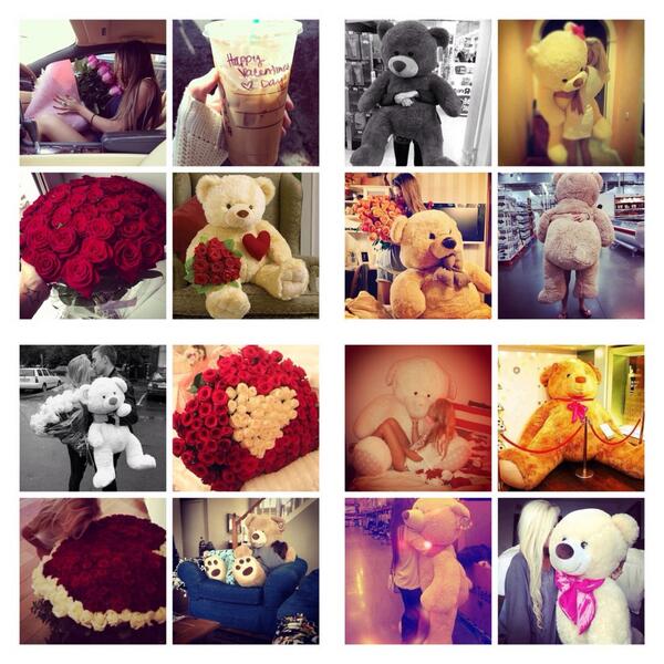 baaabe_anon's tweet photo. This Valentine's Day, all I want is a big teddy bear or some flowers ❤️😢 http://t.co/2nvhovT3lG