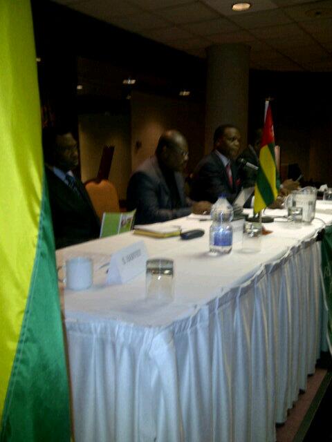 DMorneau's tweet image. Délégation #diasporatogolaise veut mettre en place Forum social +economique au #Togo pour diaspora d&apos;ici automne 2014