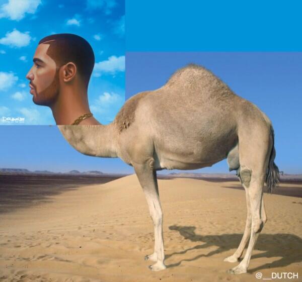 Parody Album Covers tweet media