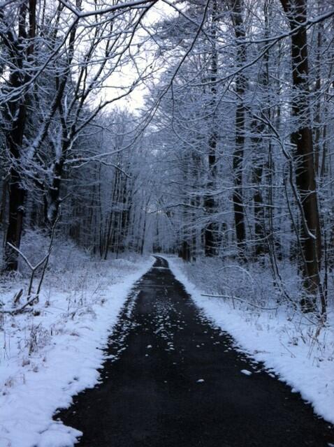 TaraBechdel's tweet photo. Pretty run this morning :) #snow #run http://t.co/BbIimOJpsE