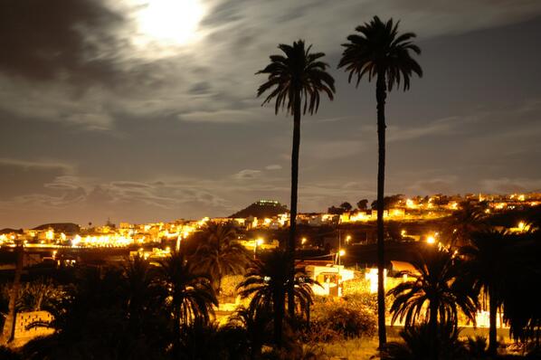 pedroguerra21's tweet photo. Cosas que uno se encuentra en la carretera… #GranCanaria http://t.co/eoCKdfw2Ya