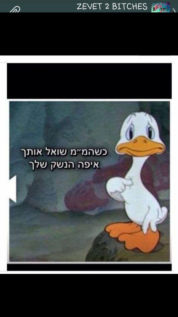 Ana_Kitty_Ko's tweet photo. איך נראתי שלישי שעבר .. #לאכיף http://t.co/wTG43GBdGa