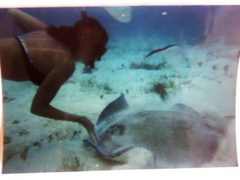 LorrieLife's tweet image. @amyallantdf Then,  there's my sea-faring "pets" This is Stingo! He's a big puppy Dolphins act like puppies so much!