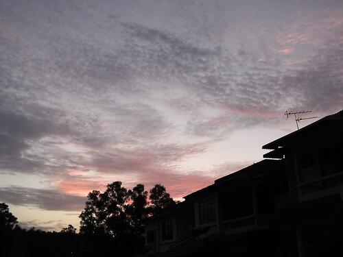 superjun7's tweet image. ยืนมองท้องฟ้าไม้เป็นเช่นเคย