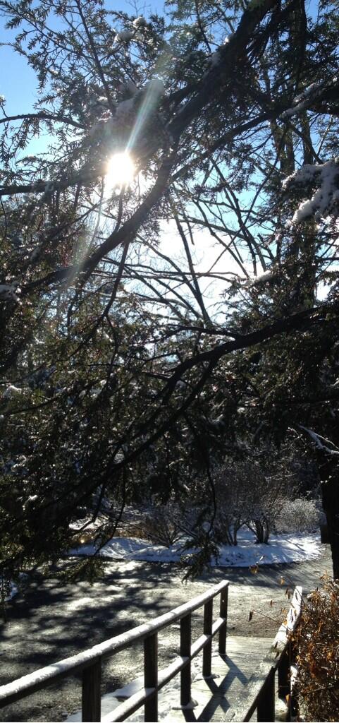 Button_Crafter's tweet image. After the snow!