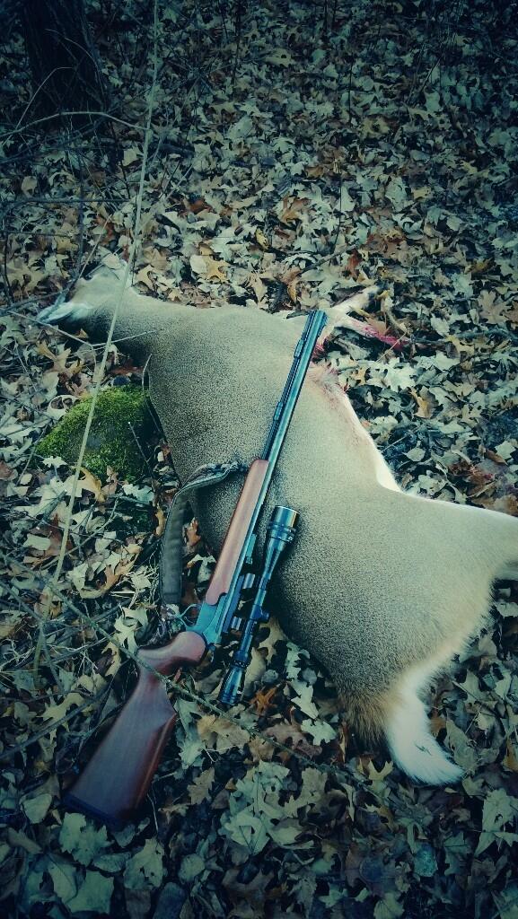 Nickel_Hunter's tweet image. Successful hunt this evening in Jackson county! #muzzleloaderseason @MOODTV