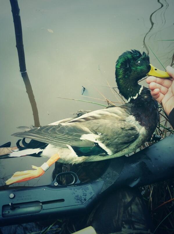 J_gray69's tweet photo. @TonyVandemore @BandHunters http://t.co/vznO3POLHx