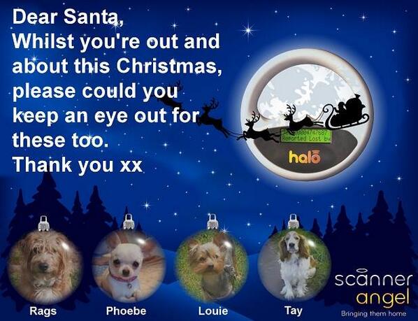 find_phoebe's tweet photo. Via @VetsGetScanning: "A Christmas wish  get Phoebe ... http://t.co/lbmN1lNkug http://t.co/f8UDmsIXkJ PLEASE SIGN THE PETITION #microchips