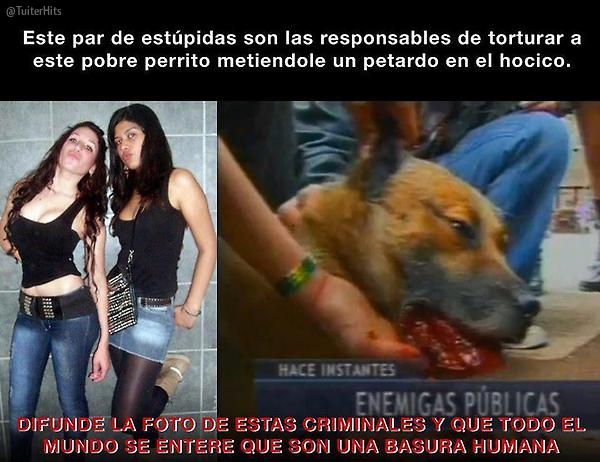 TuiterHits's tweet photo. Un petardo en el coňo le metía yo a cada una; hijas de puta. http://t.co/1576RhsSTf