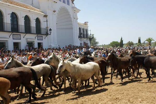 estiloandaluz's tweet photo. A galope como lo manda la tradición... #Sacadelasyeguas @hdadmatrizrocio  @RocierasLetras @JRociero  @huelvaturismo http://t.co/HERgYdUGC7