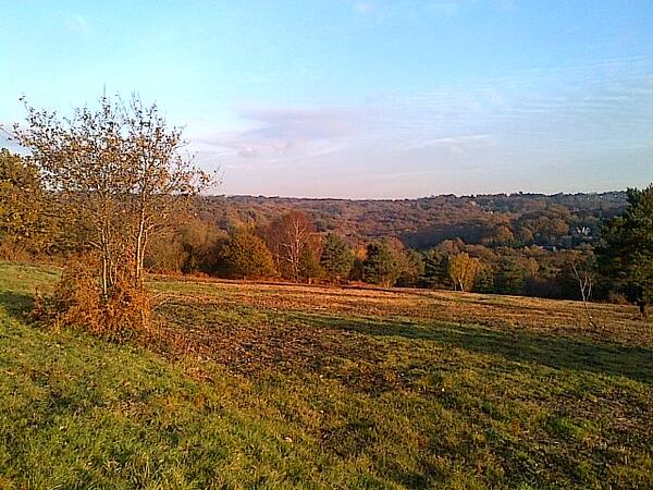 sissybuggins's tweet photo. What a beautiful day - can't believe it's nearly the end of November http://t.co/MLizAUfmnD
